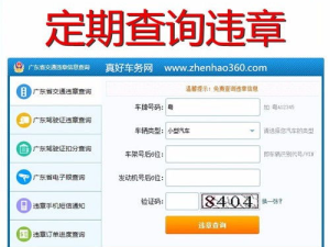 个人车辆违章查询,个人车辆违章查询详览