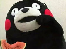 喵星娱乐吃瓜群众,揭秘明星幕后故事，吃瓜群众的热议焦点