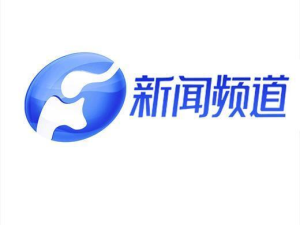 河南电视台新闻频道直播,实时传递社会动态，聚焦民生热点