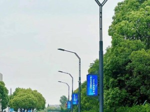 路灯生产厂家图片 案例 南京盾华路灯在智慧灯杆LED灯杆屏领域的探索和尝试